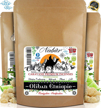 Nabür Encens Oliban d’Éthiopie 200 GR | Nouveaux Grains 2019 - Grade A | Cueillies à La Main | Haute Teneur en H.Essentielle - Bien-être, Santé Cognitive, Sérénité